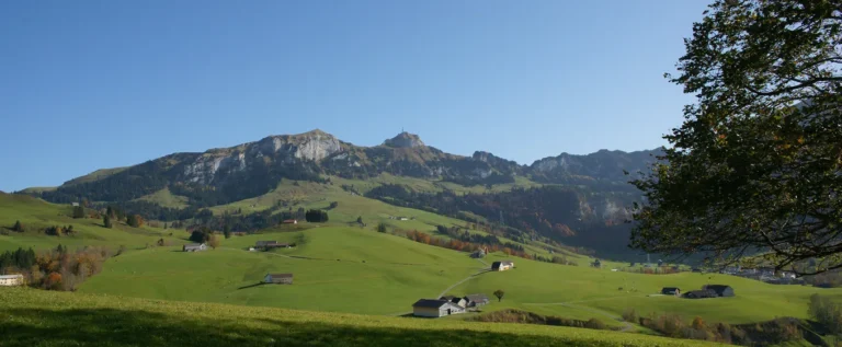 Mutterschaftsentschädigung und Vaterschaftsurlaub in der Schweiz