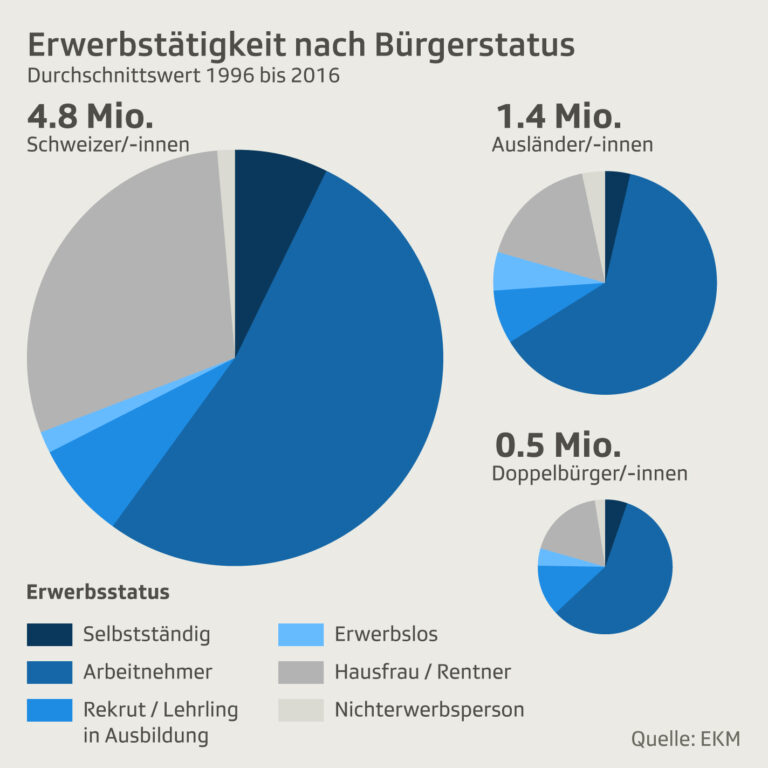 Welche Steuerregelungen gelten für Schweizer Doppelbürger?