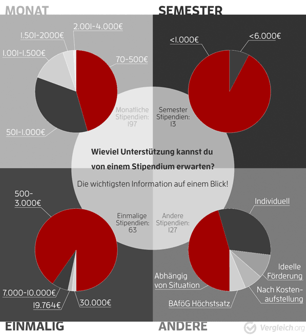 Wie man in der Schweiz ein Studienstipendium erhält: Ein Schritt-für-Schritt-Leitfaden