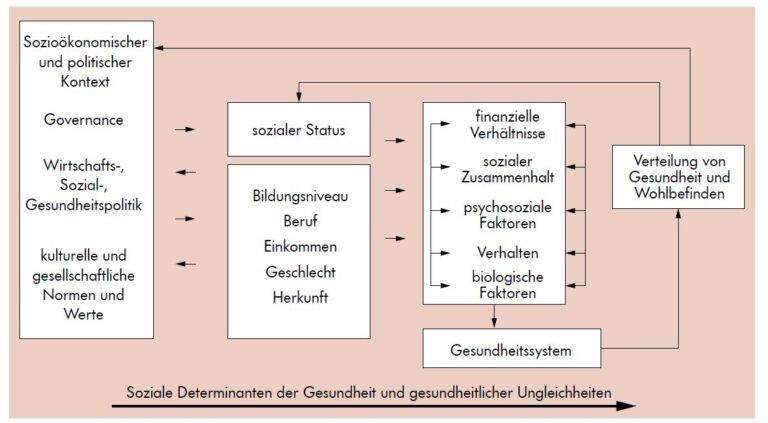 Wie wirken sich gesundheitliche Präventionsmaßnahmen auf die Prämien aus?