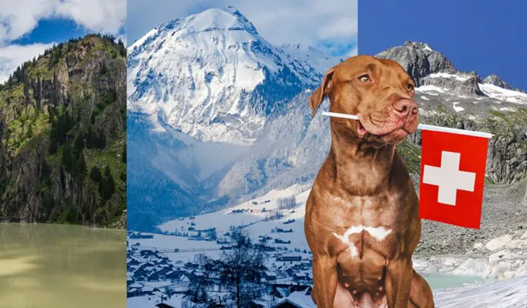 Warum sind Immobilien in den Schweizer Alpen ein beliebtes Ziel für Investoren?