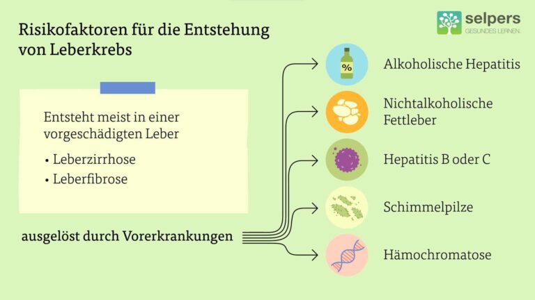Wie funktioniert die Behandlung von Lebererkrankungen in der Schweiz?