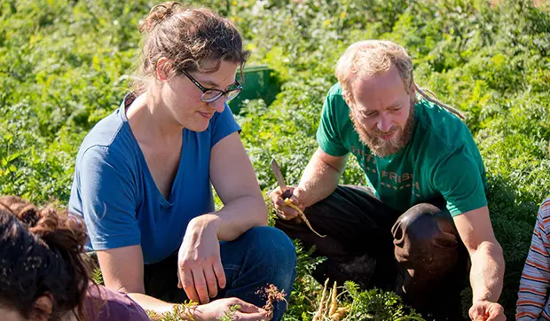 Die besten Ausbildungsprogramme im Bereich Landwirtschaft und Naturwissenschaften in der Schweiz