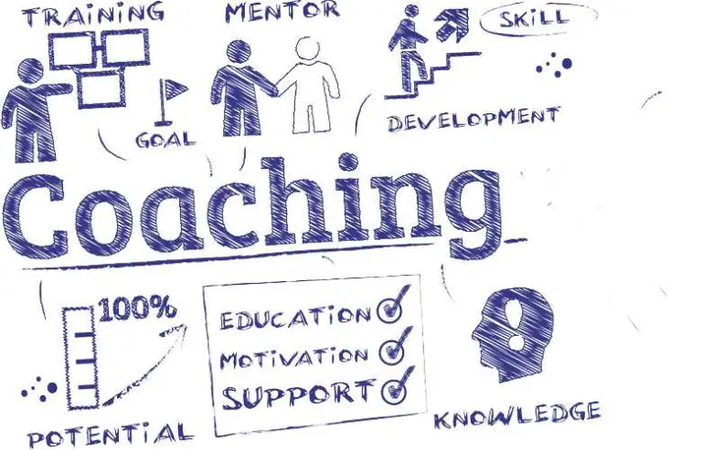 Die Rolle von Mentoring und Coaching in der beruflichen Ausbildung in der Schweiz