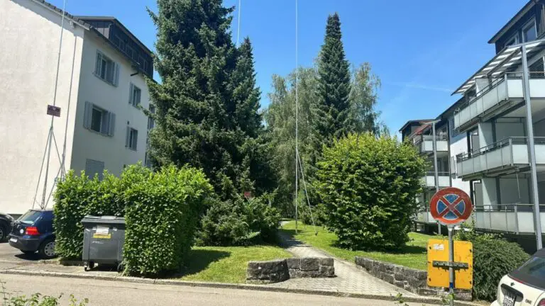 Vermietung von Immobilien: Wie kann man in der Schweiz ein erfolgreiches Mietverhältnis führen?