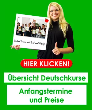 Visum für den Aufenthalt als internationaler Lehrer im Bereich Sprachunterricht in der Schweiz