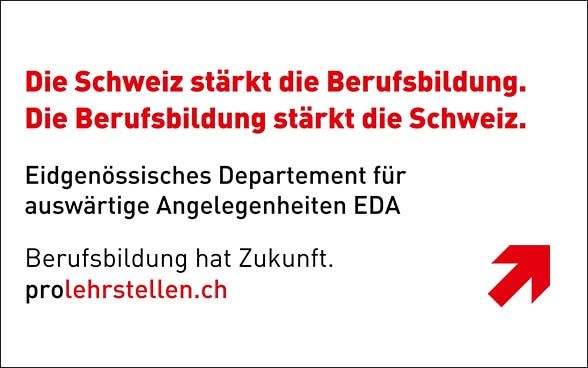 Visum für den Aufenthalt als technischer Direktor im Bereich Medientechnologie in der Schweiz