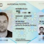 Bild zu Warum ist der C-Bewilligungsstatus für langfristige Aufenthalter in der Schweiz wichtig?
