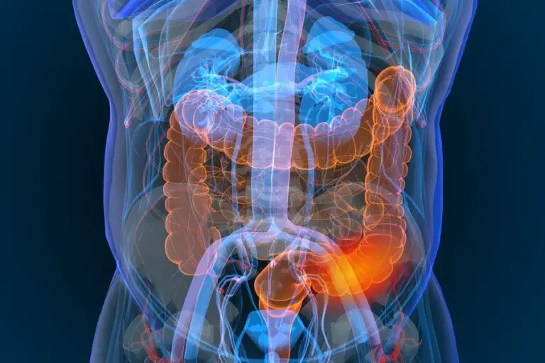Welche speziellen Gesundheitsdienste gibt es für Menschen mit chronischen Magen-Darm-Erkrankungen in der Schweiz?