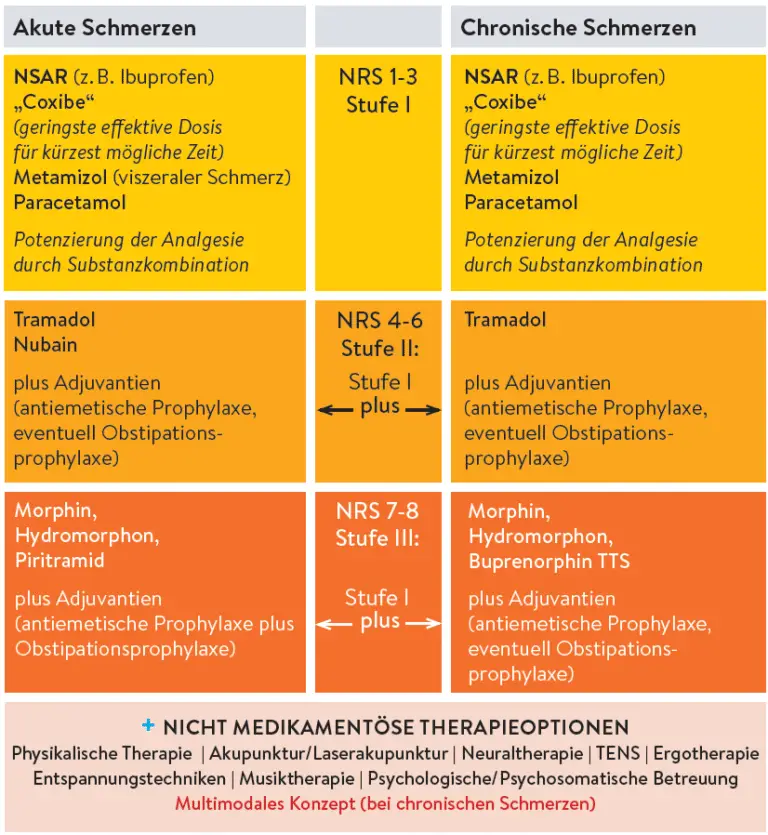 Welche Therapieansätze gibt es zur Behandlung von Rückenschmerzen in der Schweiz?