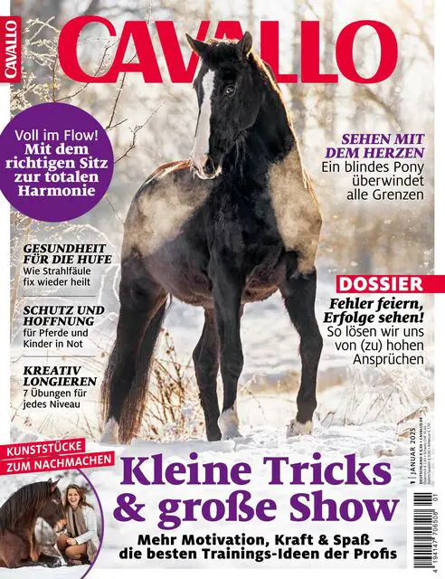 Wie berechnet man die optimale Franchise für spezifische Gesundheitsbedürfnisse?
