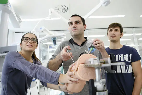 Wie der Arbeitsmarkt in der Schweiz von der Ausbildung und den Bildungseinrichtungen beeinflusst wird