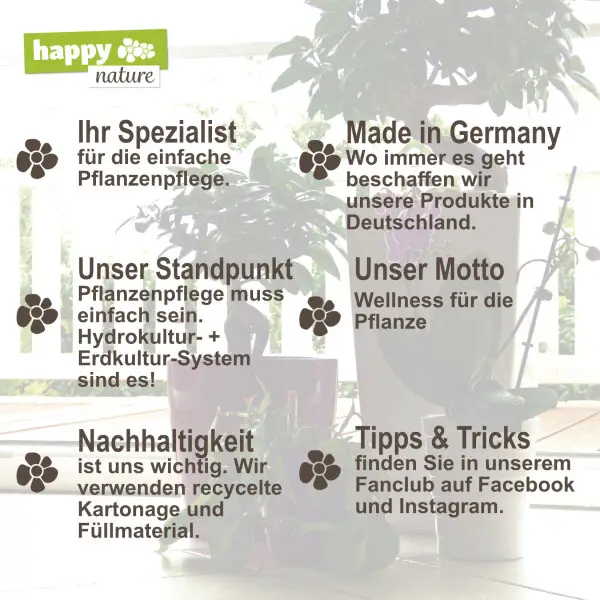 Wie funktioniert der Visumsantrag für eine Langzeitreise in die Schweiz für kulturelle Zwecke?