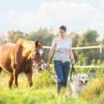 Bild zu Wie funktioniert die Haftpflichtversicherung für Tierhalter in der Schweiz?